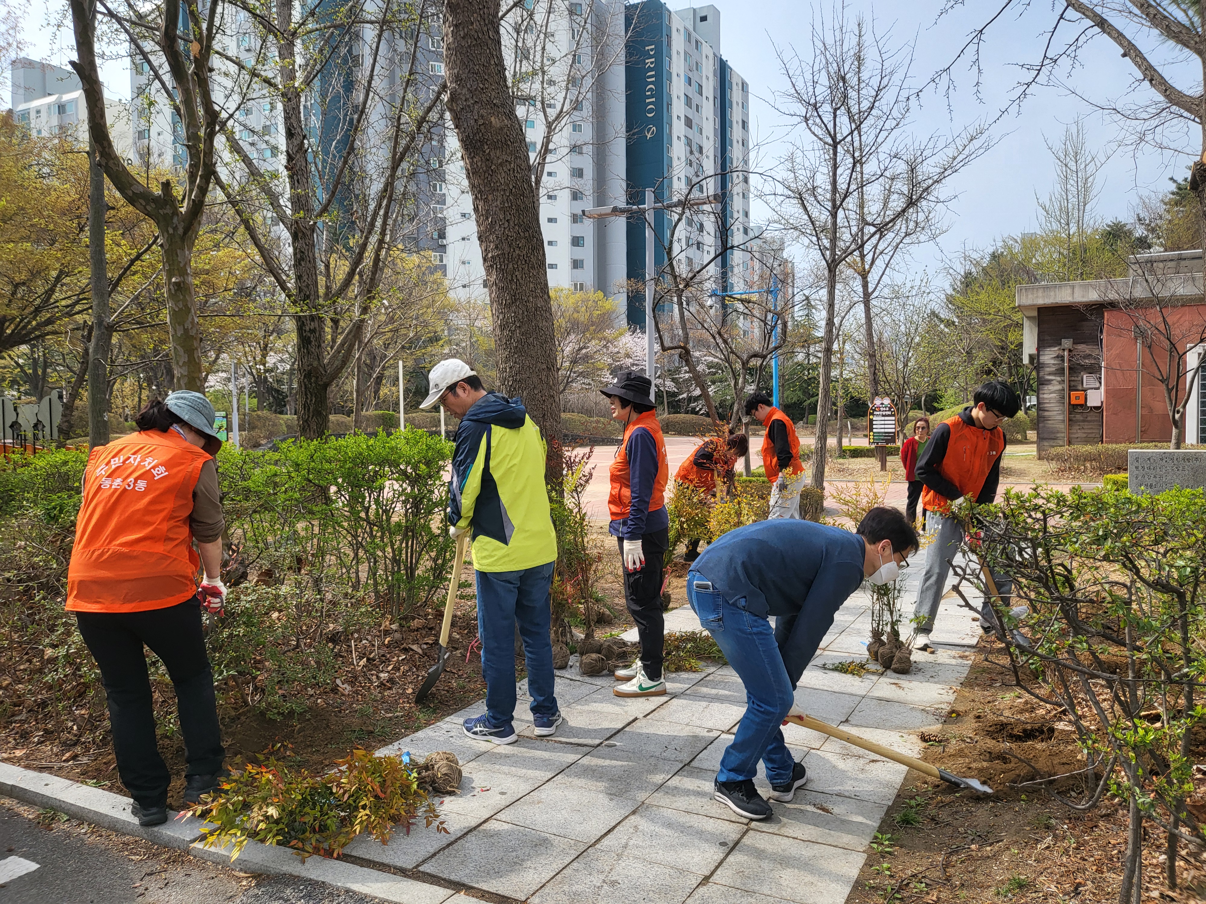 동춘3동 주민자치회, 우리 동네 묘목 심기 행사 성료의 2번째 이미지